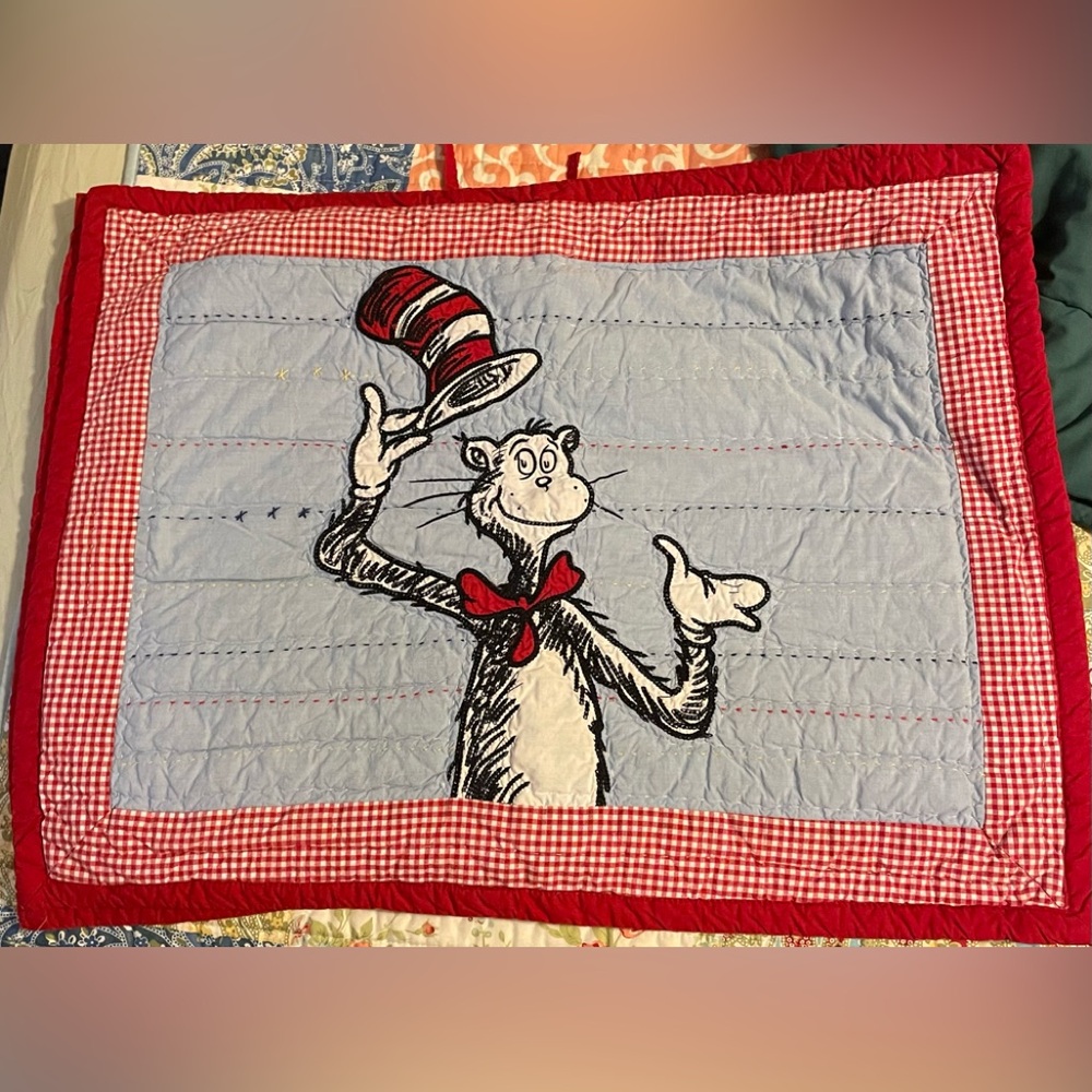 2 Pottery Barn Kids pillow shams